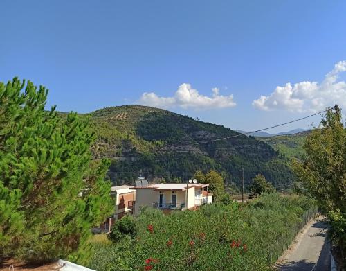 Karyes Kyparissía Home gîte à louer Elaía