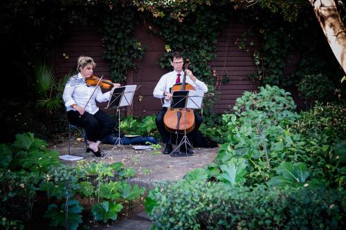 Hidden Grace Hidden Grace