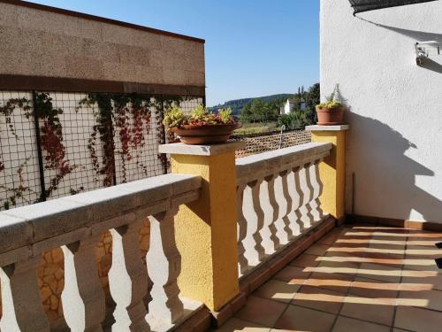 Joanet Guarda turismo familiar en plena naturaleza in L'Avella