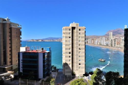 Don Miguel II 4-F - image 3