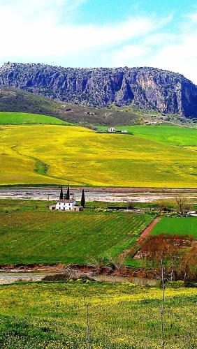 Cabañas Jimera de Líbar - image 9
