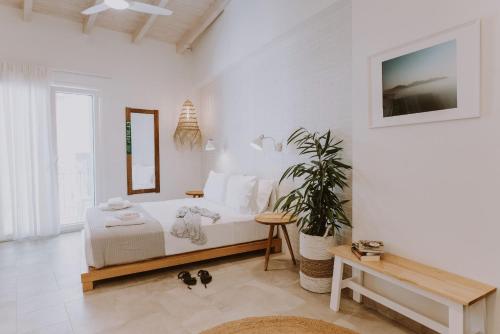 ERIEL Boutique Apartments in Lefkada