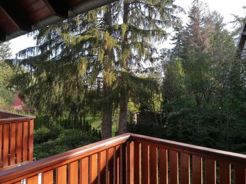 Apartament Bambusowy - image 7