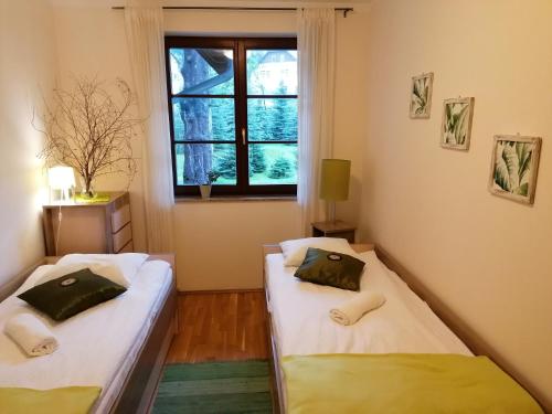 Apartament Bambusowy - image 3