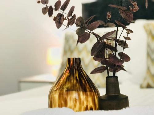 We're Open! Pegasus House - In The Heart Of Stoke!, Newcastle under Lyme, Staffordshire