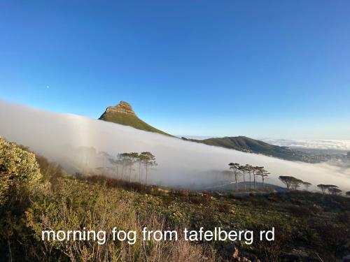 Deportes y ocio, Table Mountain Forest Villa in Vredehoek