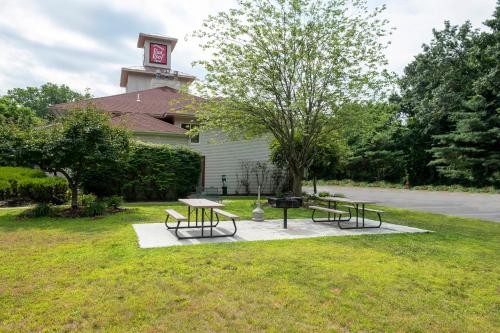 Red Roof Inn Clifton Park - image 4