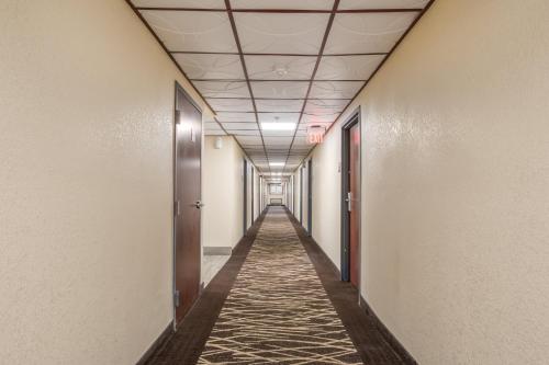 Red Roof Inn Chicago-Alsip