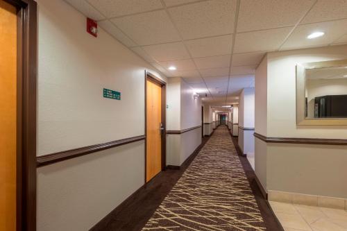 Red Roof Inn & Suites Biloxi - Ocean Springs - 편의 시설/서비스
