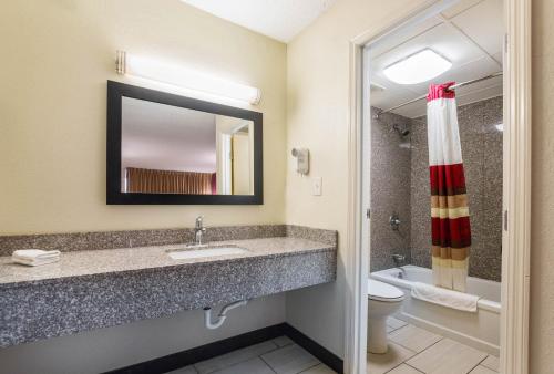Red Roof Inn Cincinnati Airport–Florence/ Erlanger - image 8