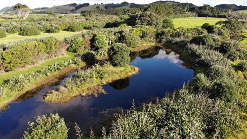 Tara at Tahi - cosy cottage surrounded by nature, Whangarei (fotografie 7)