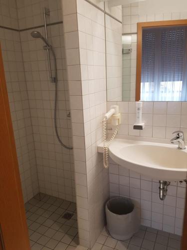 Landgasthof Hotel Grüner Baum, Norimberga (foto 10)