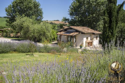 Villa il Rovereto the ideal place in the silence of nature - image 4
