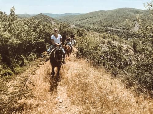 Lost Ridge Inn, Brewery & Ranch