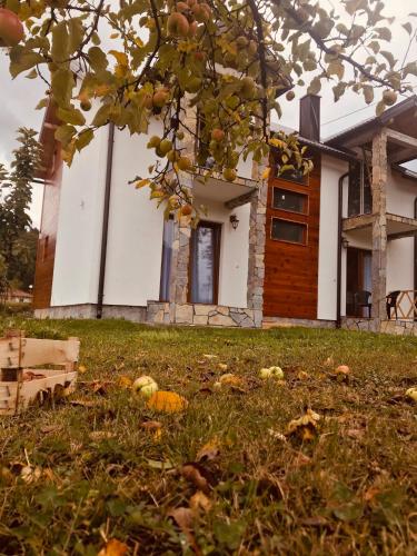 Vila Montenegrina - image 13
