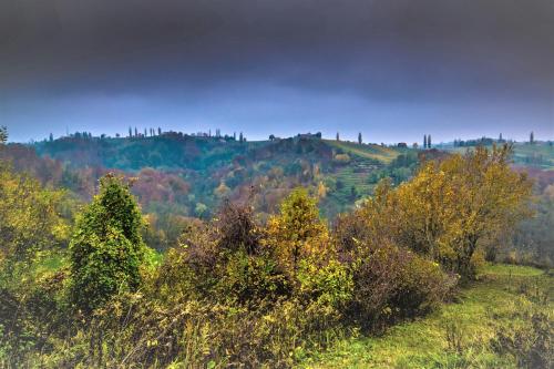 Genius Guest Unique Banovci Apartment Genius Guest Unique Banovci Apartment