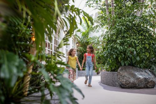 Center Parcs Zandvoort beach - image 6