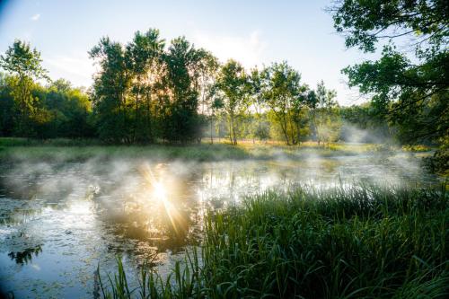 Genius Guest Unique Banovci Apartment Genius Guest Unique Banovci Apartment