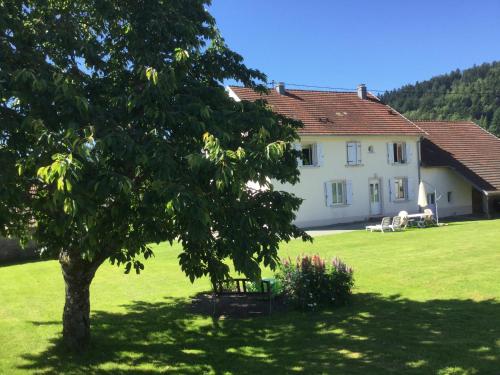 Gîte Léonline sur les hauteurs de Masevaux -au pied des Vosges - Location saisonnière - Masevaux-Niederbruck