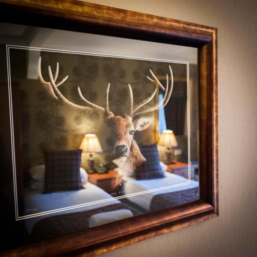 Loch Kinord Hotel - image 4