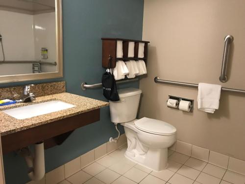 Suite with Hearing Accessible Roll-In Shower - Non-Smoking