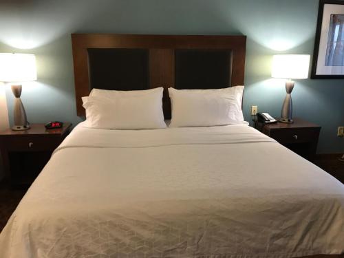 King Suite with Sofa Bed