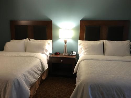 One-Bedroom Queen Suite