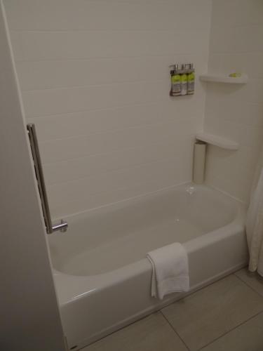 Holiday Inn Express & Suites - Auburn Downtown by IHG