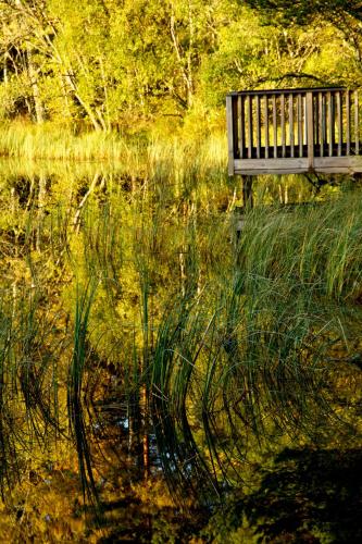 Loch Kinord Hotel - image 2