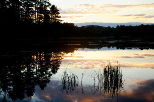 Loch Kinord Hotel - image 8