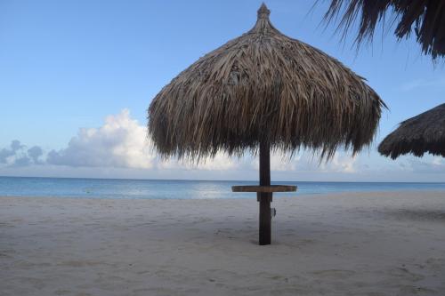 Arena Condos Aruba - few steps from Eagle Beach! – Noord