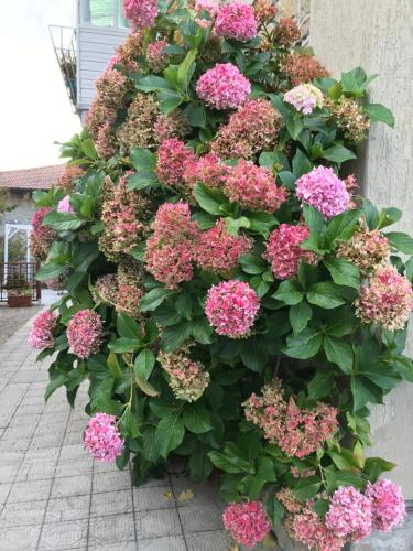  Casa Ortensia, Ferienwohnung in Chiusi della Verna
