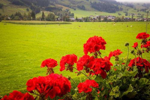  Chalet Matzhof in Leogang