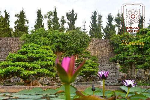 Bagua House - Homestay