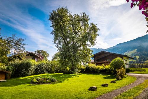 Buitenkant, Chalet Matzhof in Otting