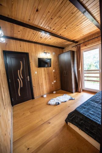 Vila Zen, Slănic-Moldova (fotografie 10)