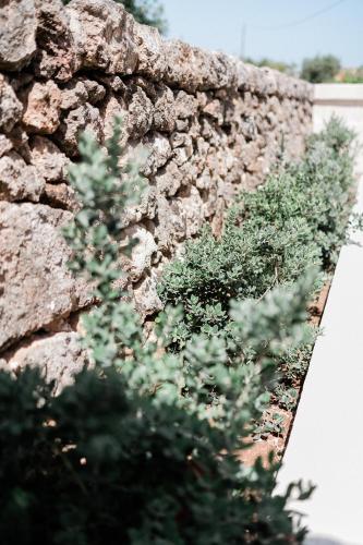 Masseria San Martino