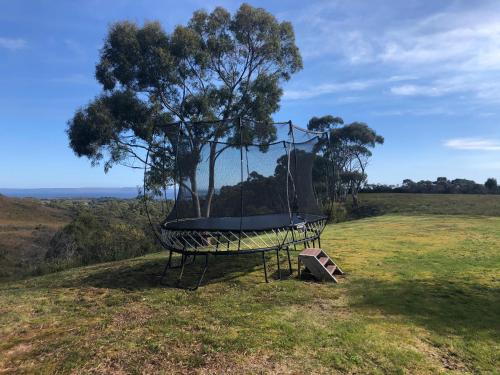 Harbour Lookout