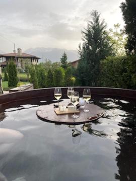 Ski & Spa Chalet Bansko, Bansko (zdjęcie 9)