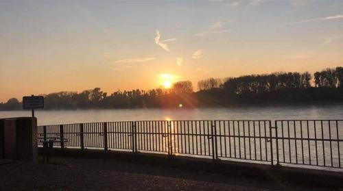 Wohnen am Rhein 20 Minuten zum Hauptbahnhof