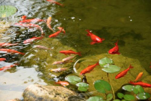 Villa Can Sala Villa Can Sala