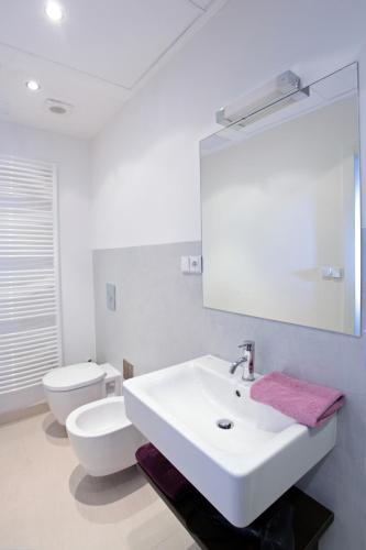 Apartment House - The Modern Flat - image 8