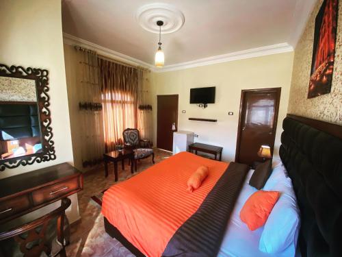 Deluxe Double or Twin Room image 4