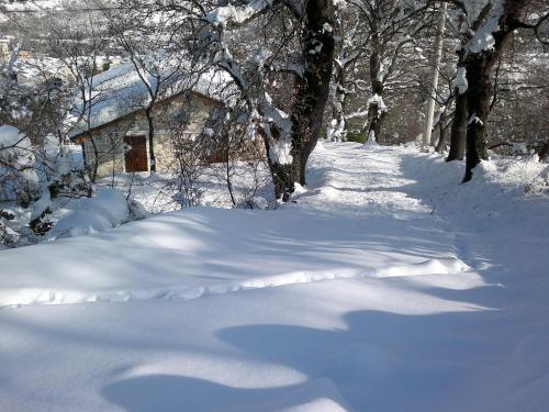 老房子乡间别墅 