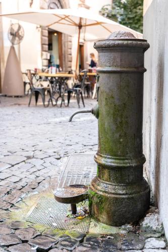 Magenta Fico 2, Rome (photo 4)