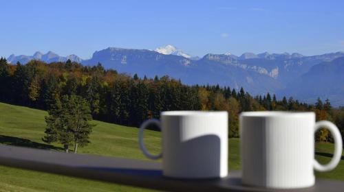 Château des Avenieres