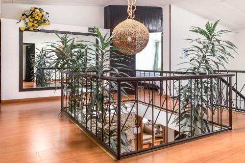 편의 시설/서비스, Hotel Bogota Alpes Castellana in 노스 웨스트 (주거 지역)