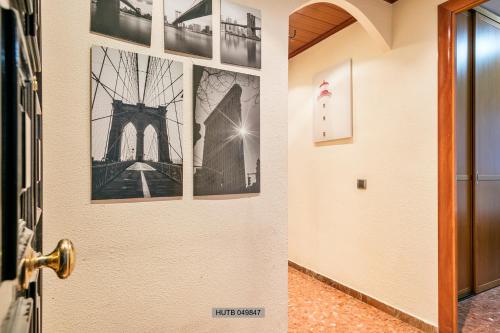 Alcam Barbera Centro - image 10