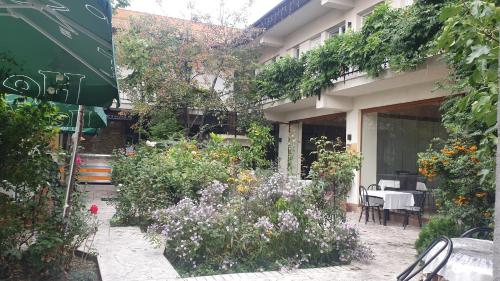 B&B Drobeta-Turnu Severin - Pensiunea Drobeta - Bed and Breakfast Drobeta-Turnu Severin