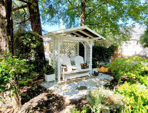 Pettigru Place Bed & Breakfast - 주변 환경